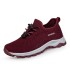 Exclusive Summer Breathable Mesh Walking Shoes for Seniors